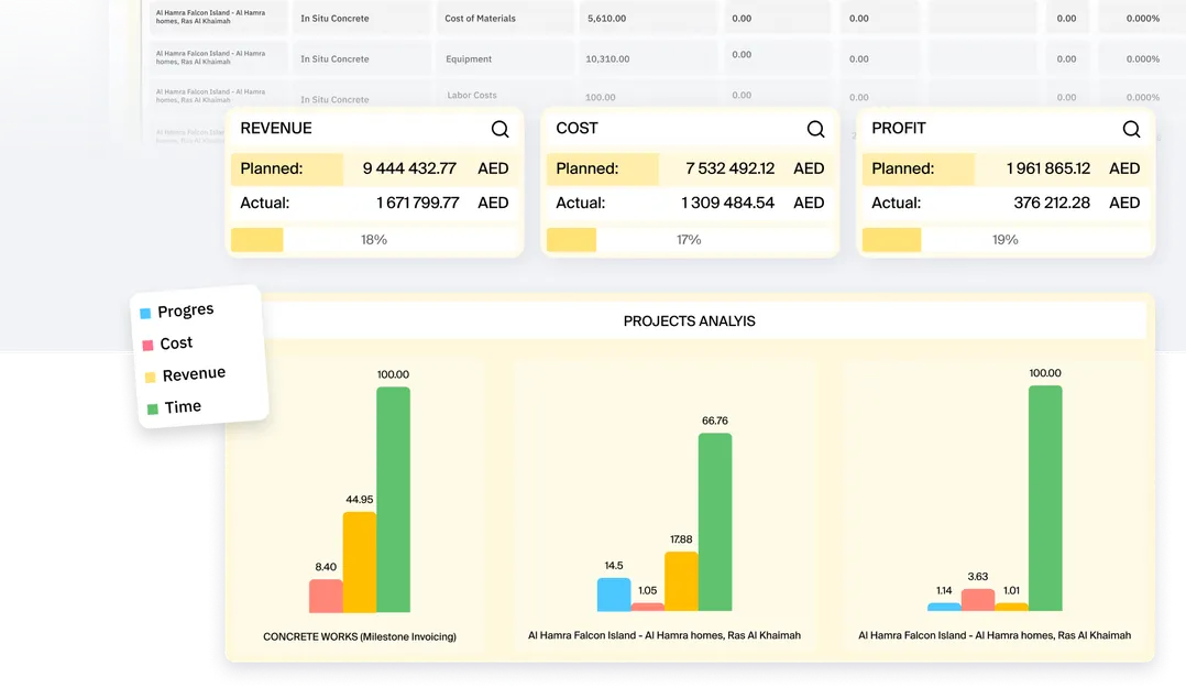 Monitor project costs and revenues