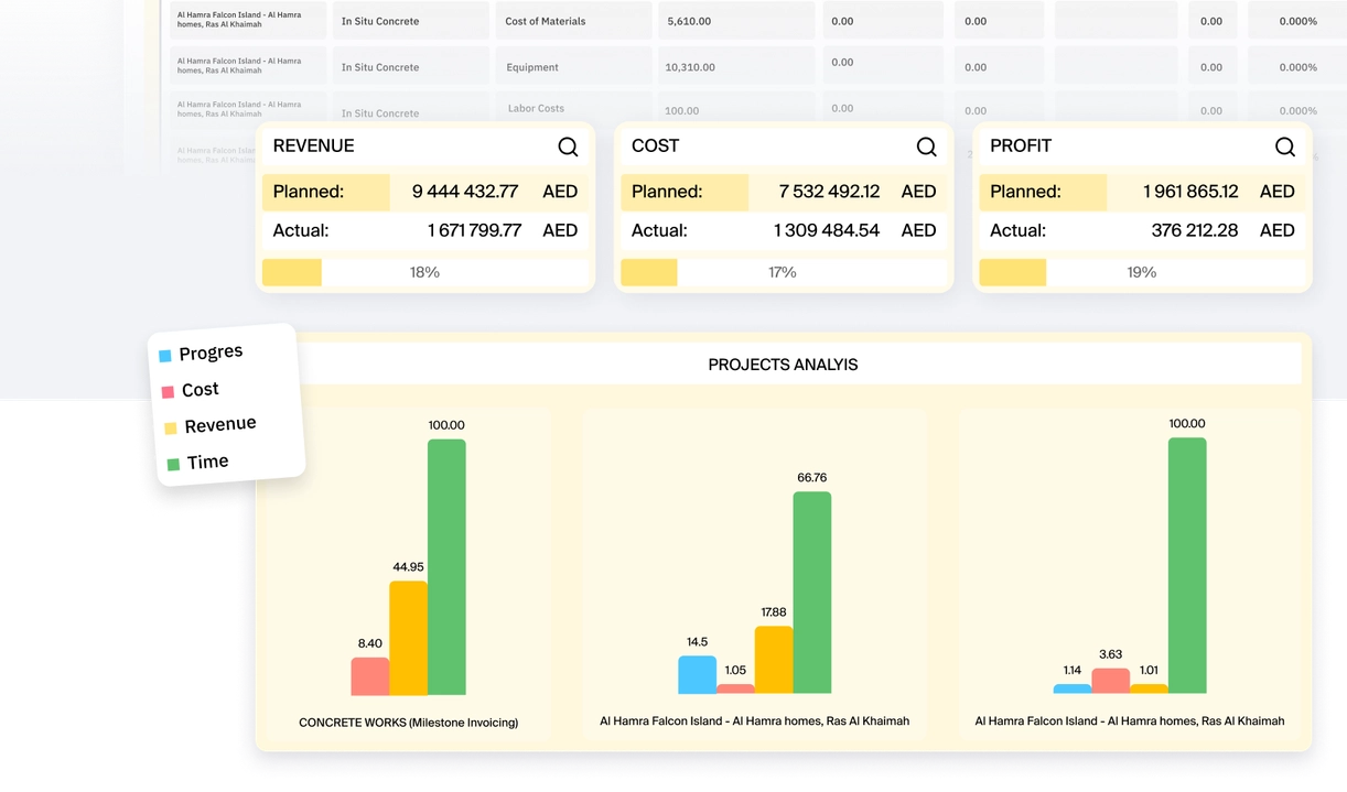 Monitor project costs and revenues