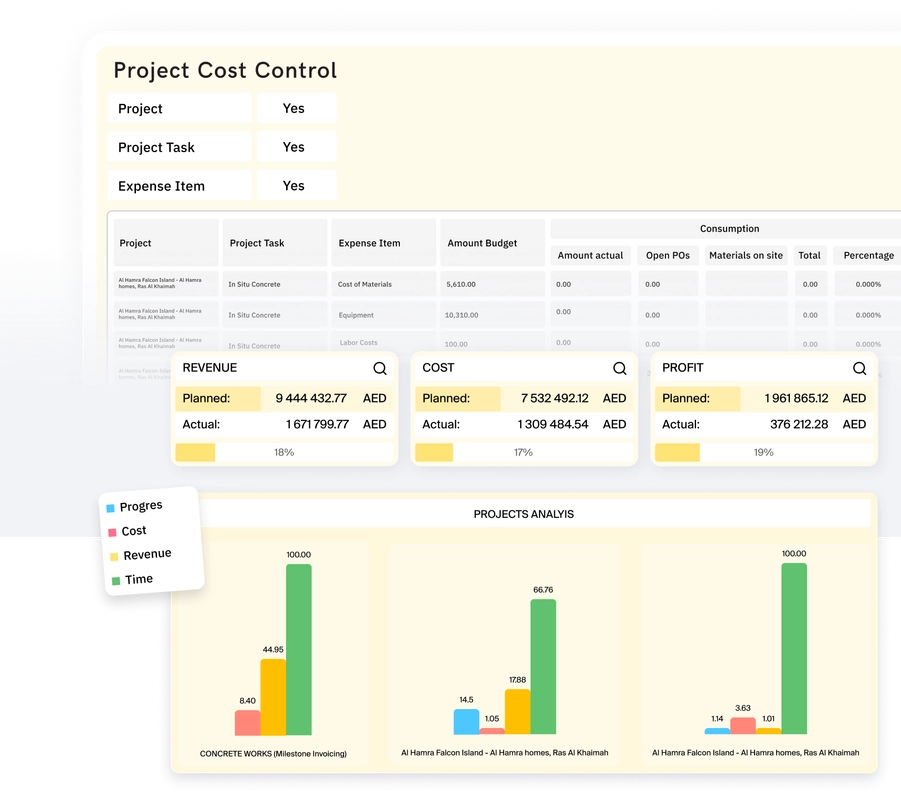 Monitor project costs and revenues