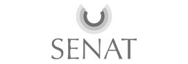 Senat MEA Management Consultancy лого