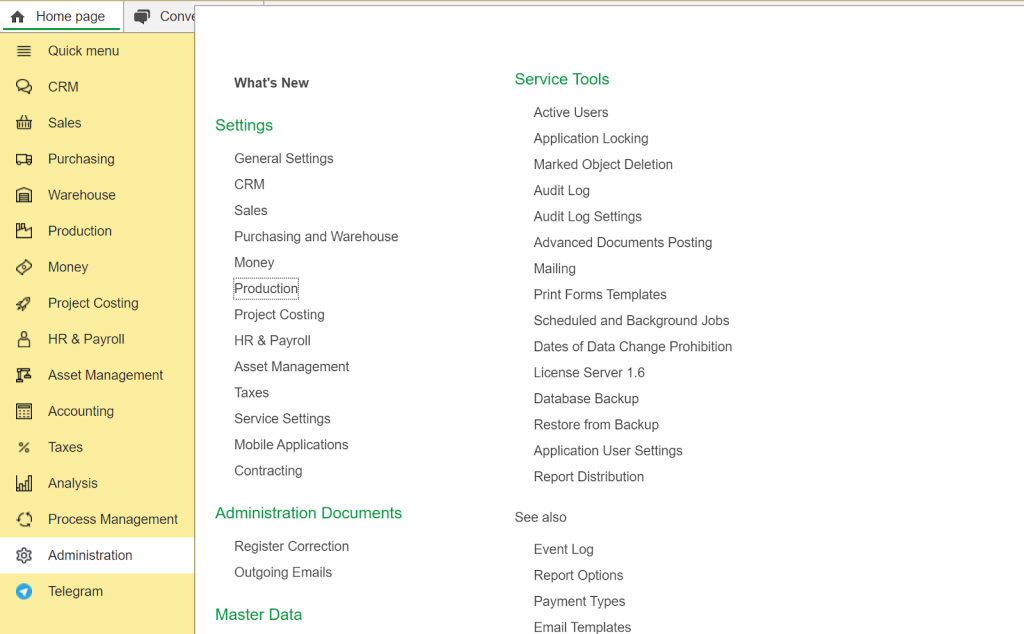 Settings in FirstBit ERP