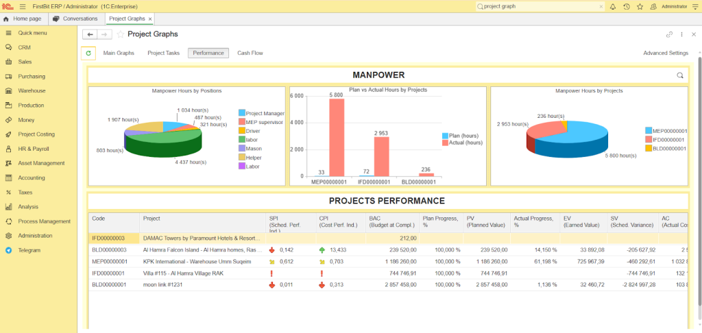 Project performance graphs in FirstBit
