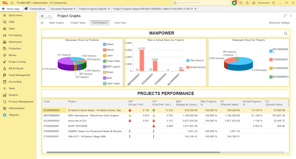 Project Graphs in FirstBit ERP